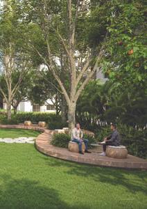 Alembic Cloud Forest Brochure 6