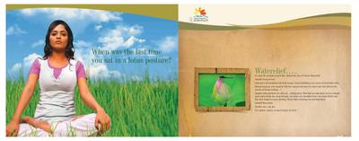 Daffodil Waterfront Brochure 2
