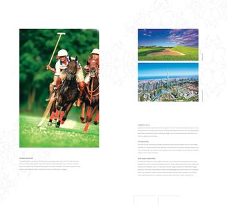 Emaar The Palm Springs Pla Brochure 6