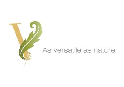 Versatile Valley Phase 1 Brochure 1
