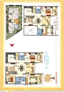 Sun Shine Orange Tree Brochure 15