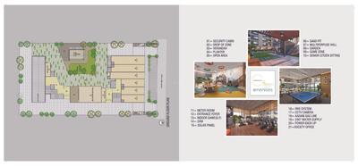Green Abalone Brochure 4