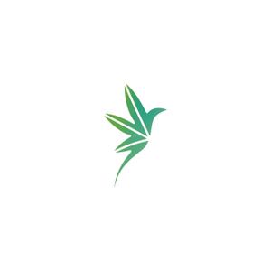 Ecstasy Trifecta Verde En Resplendor Brochure 6