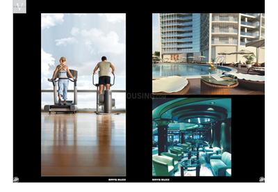 Brys Buzz Brochure 23