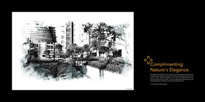 Raojee Palladium Plus Brochure 9