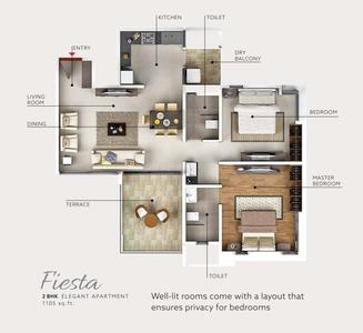 Pate Fiesta Brochure 16