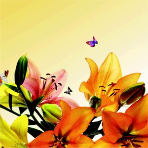 Divyansh Flora Phase 2 Brochure 7