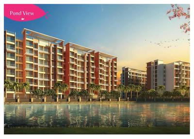 Silver Leaf Saushilya Brochure 7