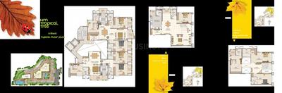 HM Tropical Tree Brochure 12