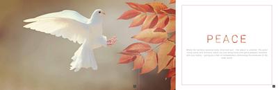 Sumer Armonia Brochure 5