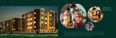 Confident Jade Brochure 2