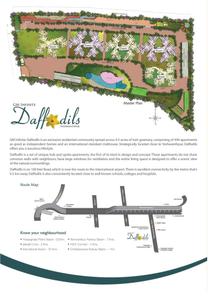 GM Daffodils Brochure 2