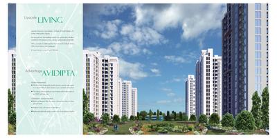 Avidipta Brochure 2