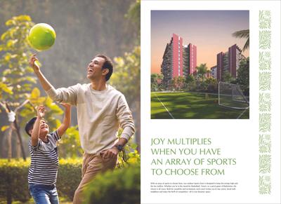 Cynosure Sunny Groves Brochure 11