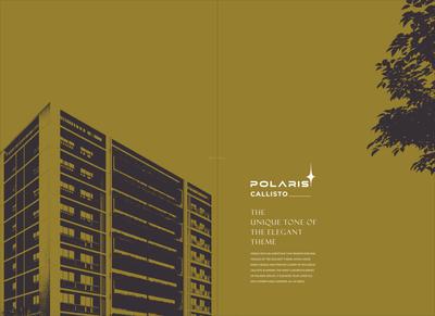 Polaris Callisto Brochure 2