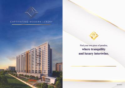 The Trinity Brochure 11