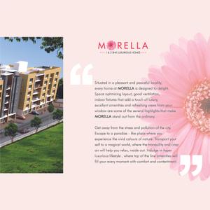 Global Morella Brochure 5