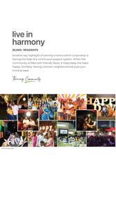 Canvas Brochure 65