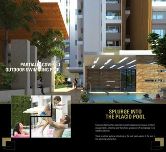 Expression Exotica Brochure 10