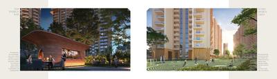 Ivory County Phase 1 Brochure 9