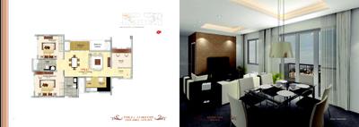Prestige MSR Brochure 12