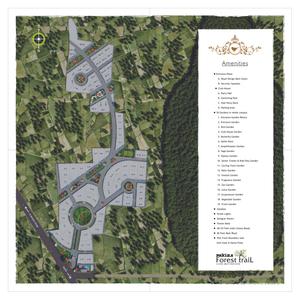 IAP Forest Trail Phase 1 Brochure 10