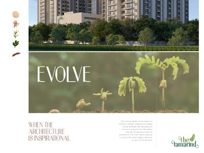 The Tamarind Brochure 5