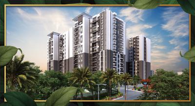 TG Ascent Brochure 3