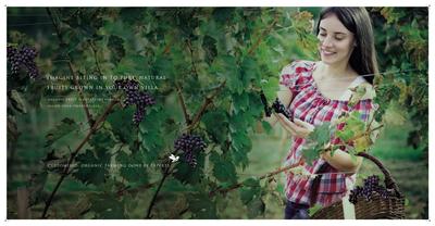 Canary Farms Brochure 19