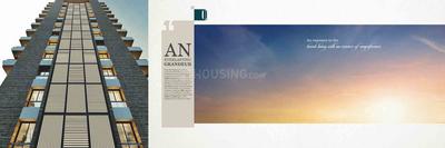 Blu Quince Brochure 5
