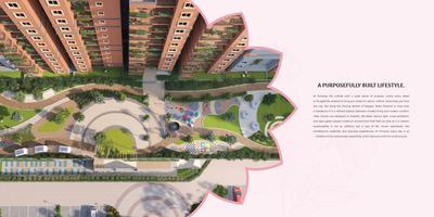 Coevolve Florenza Brochure 7