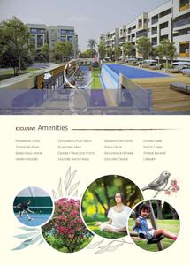 Prithvi Desire Tree Brochure 5