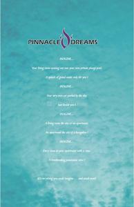 Pinnacle D Dreams Brochure 2