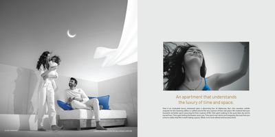 Alpha Corp Sky1 Brochure 4