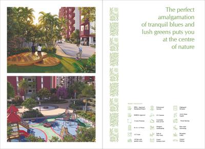 Cynosure Sunny Groves Brochure 21