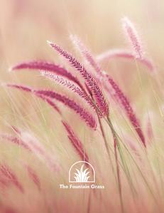 Image of 1800 Sq.ft 3 BHK Apartment / Flat for sale in Dhvaj The Fountain Grass, Shilaj, Ahmedabad for Rs. 12120000