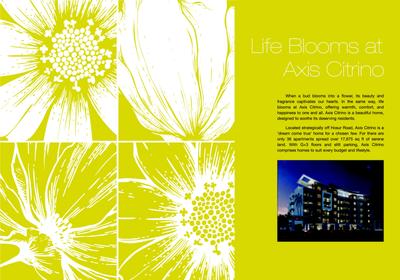 Axis Citrino Brochure 2