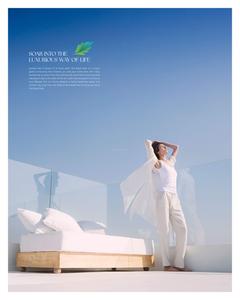 Vajra The Royal Park Brochure 3