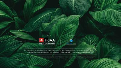 Nesterra Brochure 54