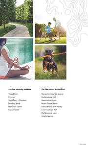 The Secret Lake Brochure 7