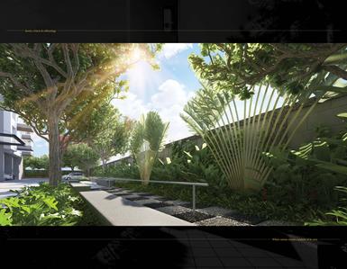Darpan 88 Phase I Brochure 9