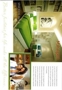 Sun Shine Orange Tree Brochure 6