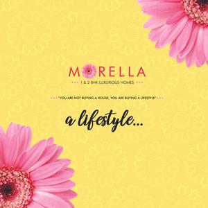 Global Morella Brochure 1