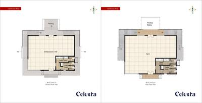 Celesta Brochure 13