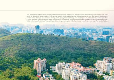 Pristine The Lords Brochure 13