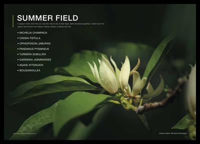 Godrej Forest Grove Brochure 22