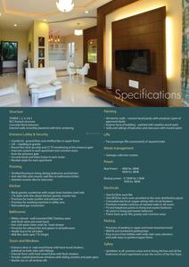 GM Daffodils Brochure 5