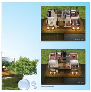 Maple Echtuo Brochure 15