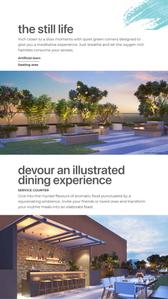 Canvas Brochure 36