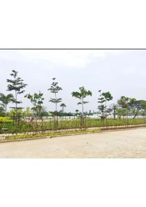 Image of 1146 Sq.ft 2 BHK Villa for sale in Luxury Vision Villa, Tambaram East, Chennai for Rs. 7500000